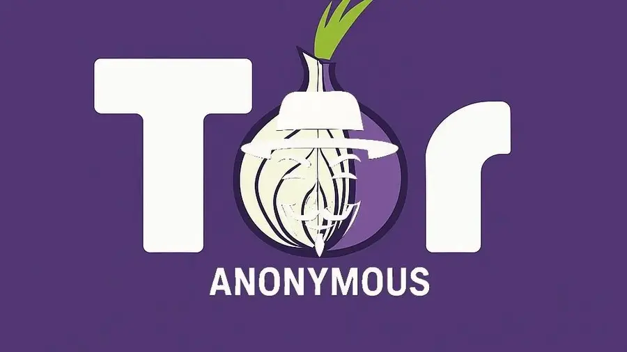 Torzon mirror network over the Tor anonymity relay system